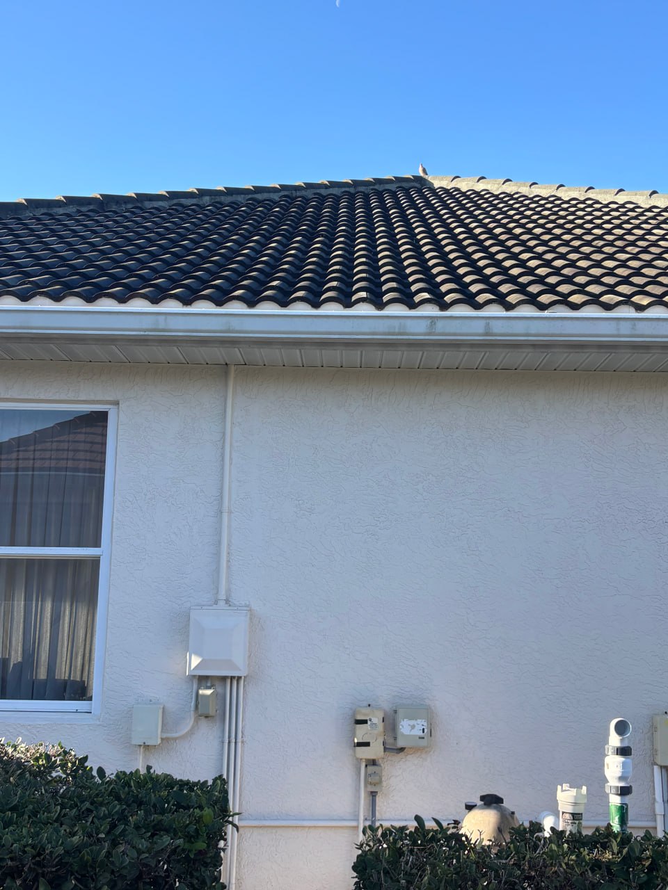 Professional roof cleaning for black tile roof