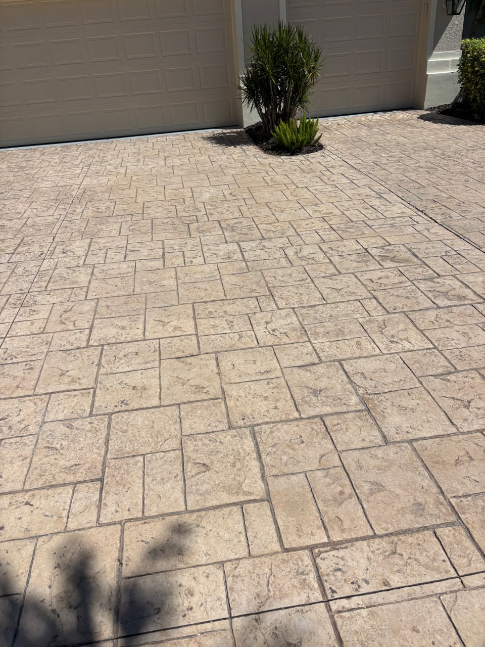 Professional driveway pressure cleaning service